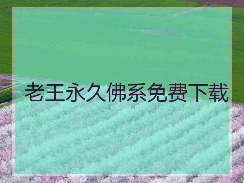 老王永久佛系免费下载