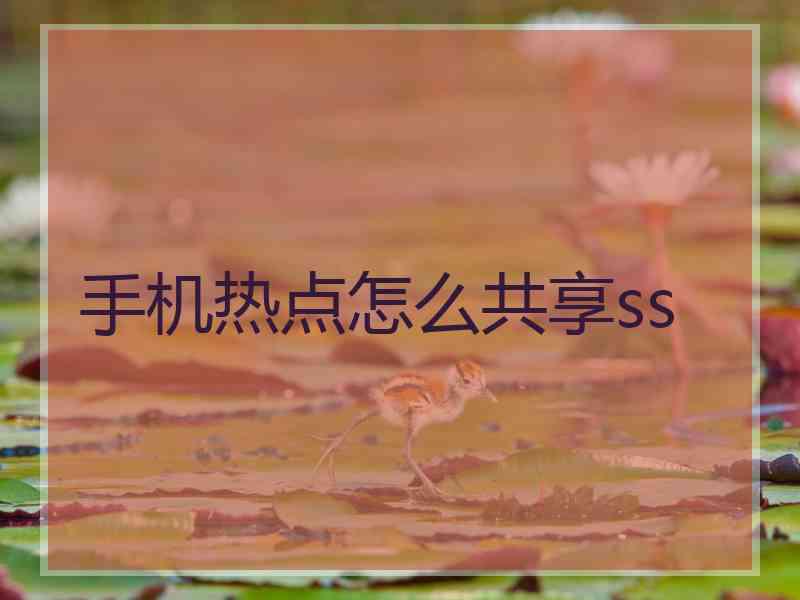 手机热点怎么共享ss