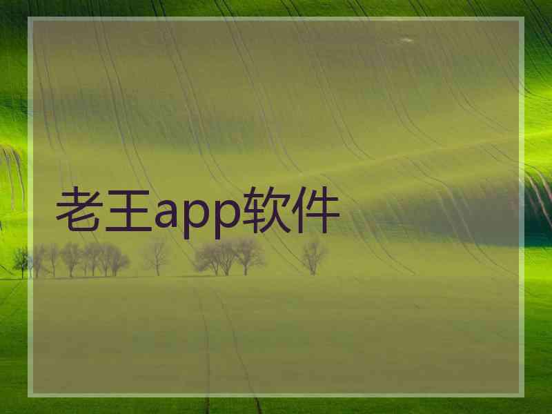 老王app软件