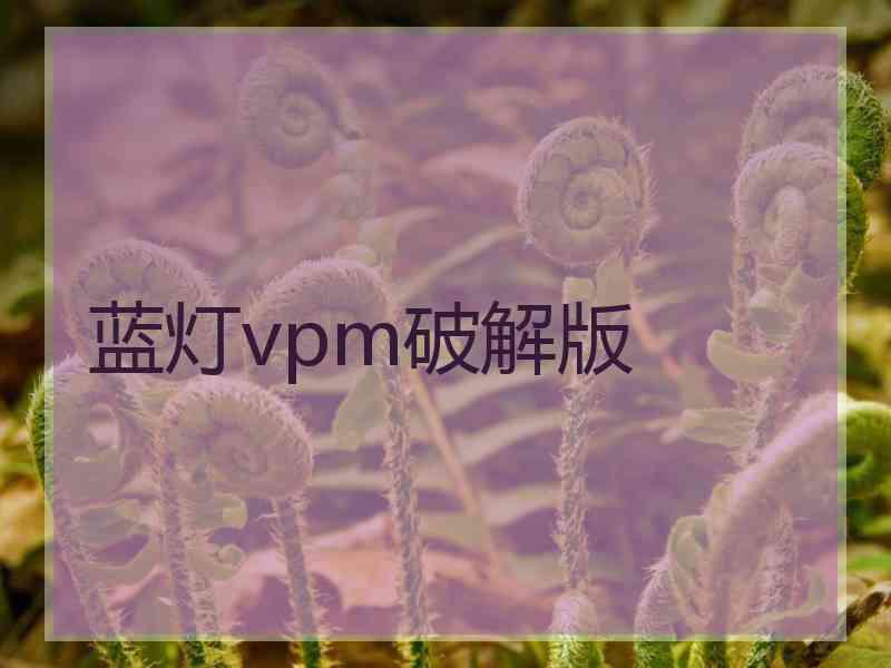 蓝灯vpm破解版