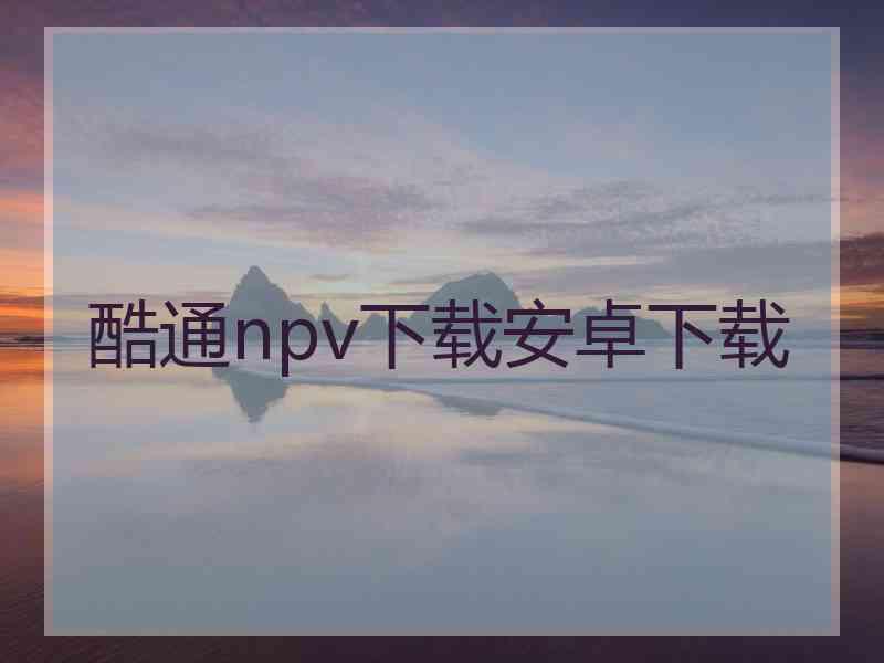 酷通npv下载安卓下载