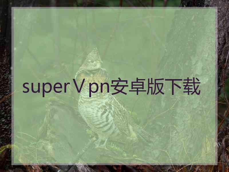 superⅤpn安卓版下载