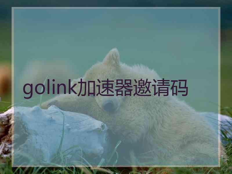 golink加速器邀请码