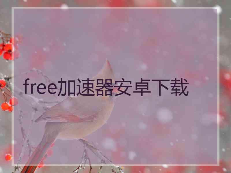 free加速器安卓下载