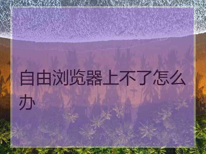 自由浏览器上不了怎么办