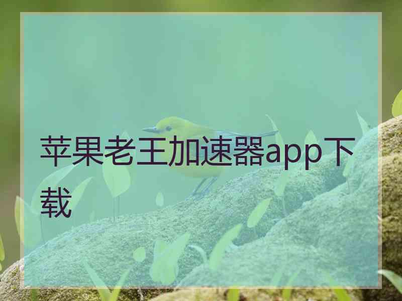 苹果老王加速器app下载