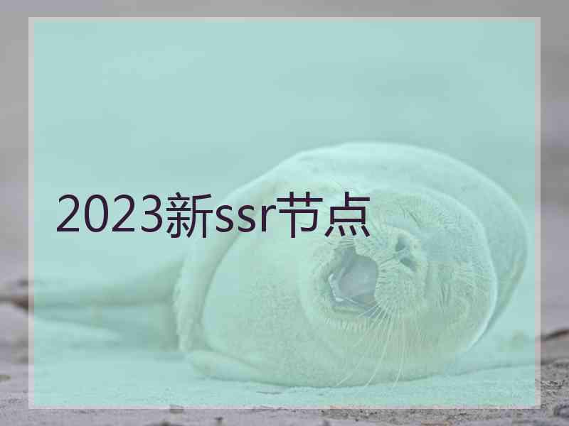 2023新ssr节点