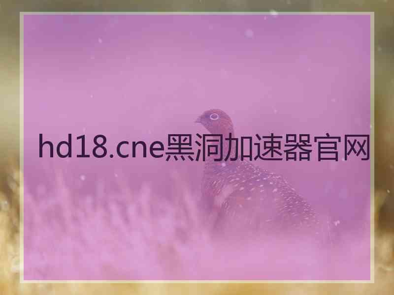 hd18.cne黑洞加速器官网