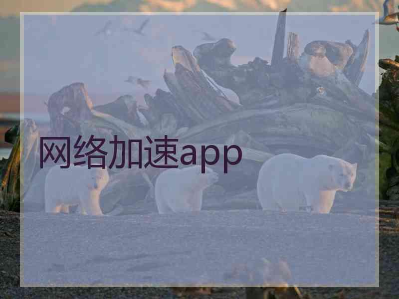 网络加速app