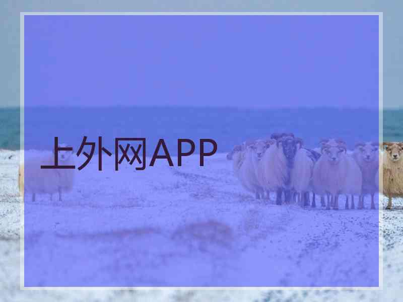 上外网APP