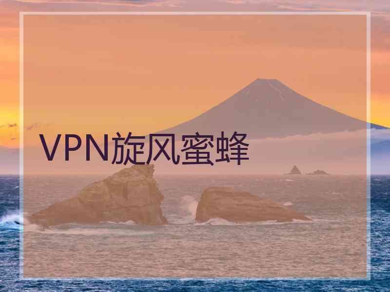 VPN旋风蜜蜂