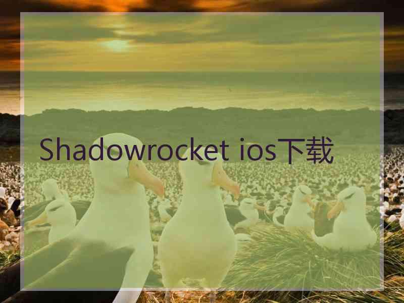 Shadowrocket ios下载