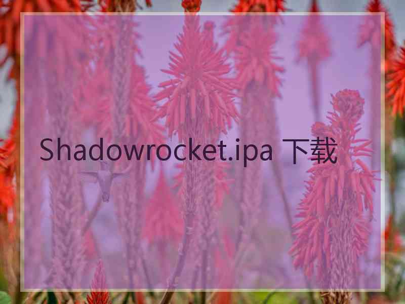 Shadowrocket.ipa 下载