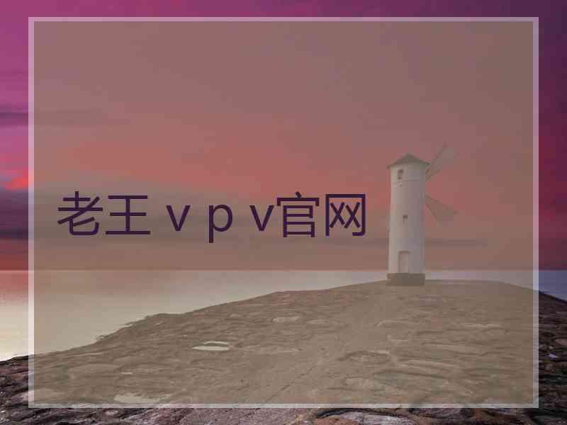 老王 v p v官网