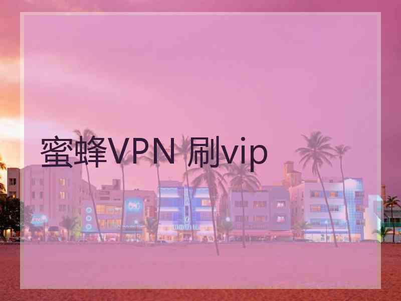 蜜蜂VPN 刷vip