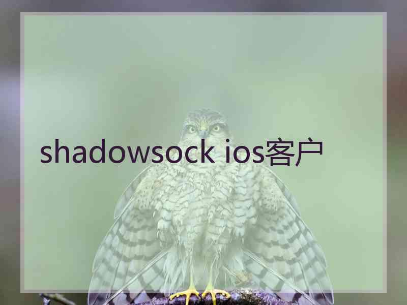 shadowsock ios客户