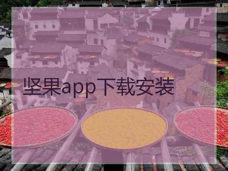 坚果app下载安装