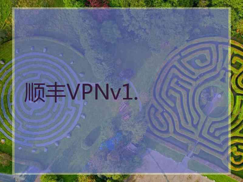 顺丰VPNv1.