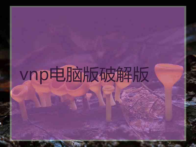 vnp电脑版破解版