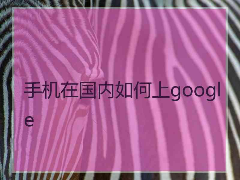 手机在国内如何上google