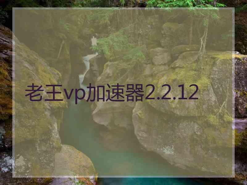 老王vp加速器2.2.12