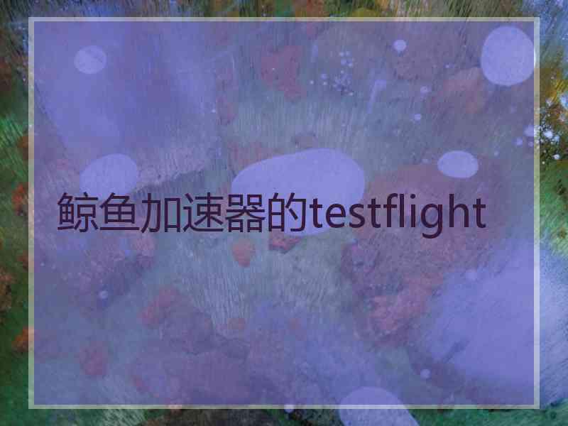 鲸鱼加速器的testflight