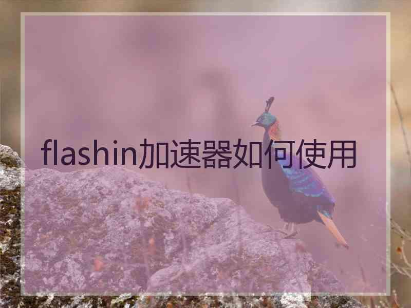 flashin加速器如何使用