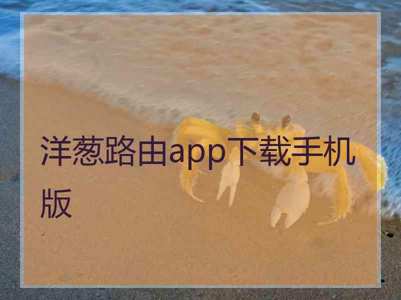 洋葱路由app下载手机版