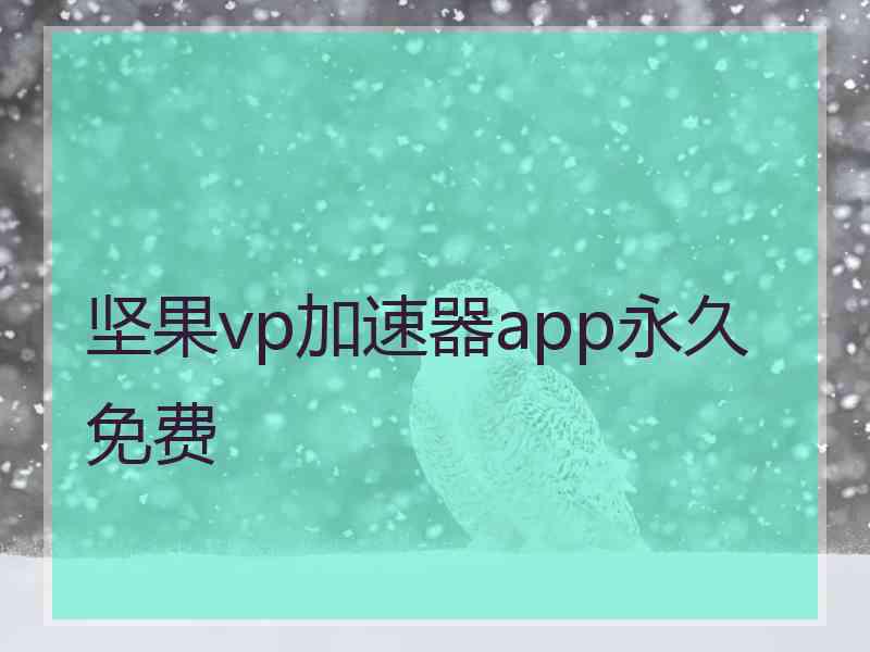 坚果vp加速器app永久免费