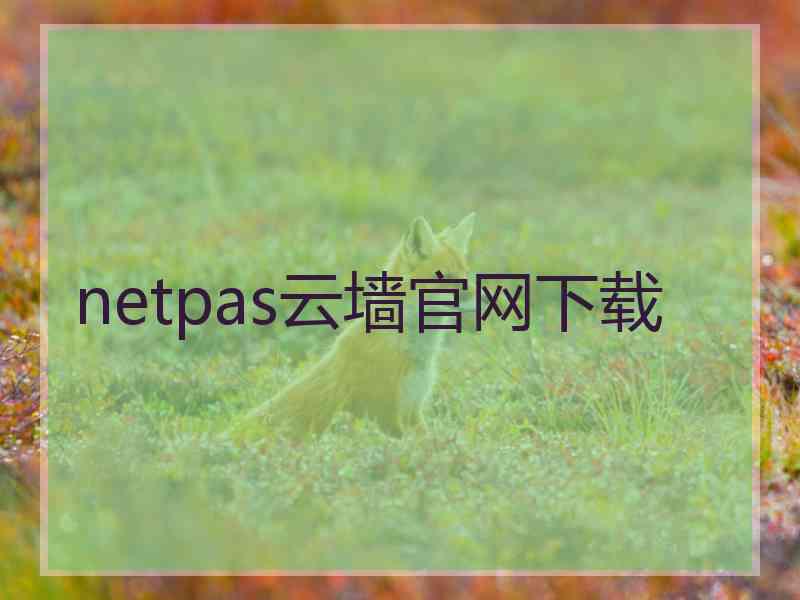 netpas云墙官网下载