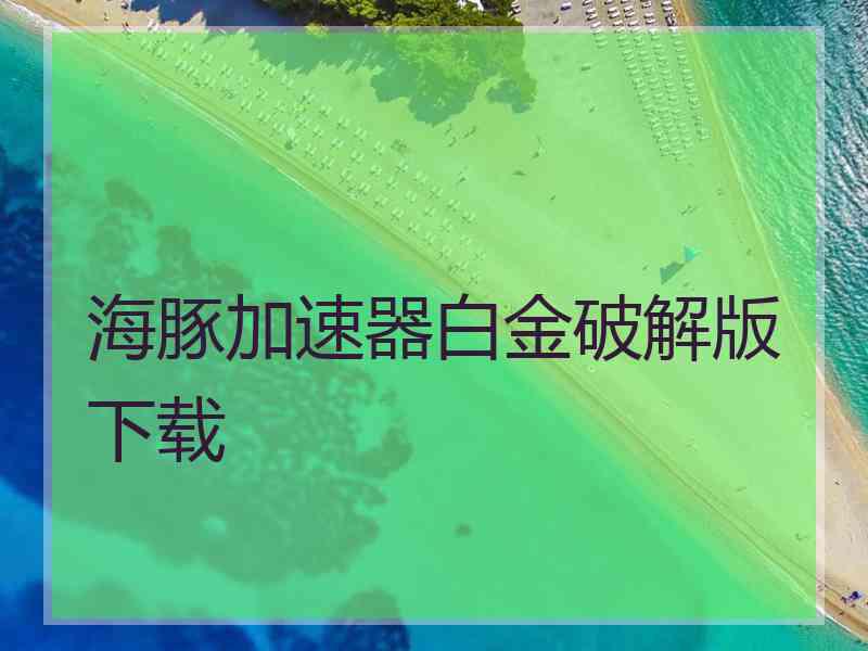 海豚加速器白金破解版下载