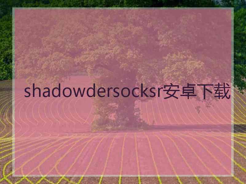 shadowdersocksr安卓下载