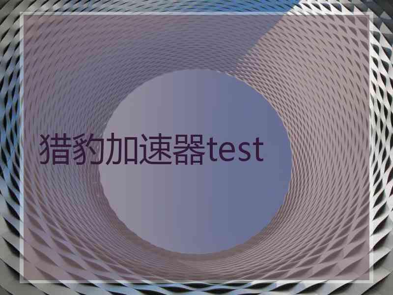 猎豹加速器test