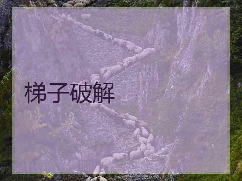 梯子破解