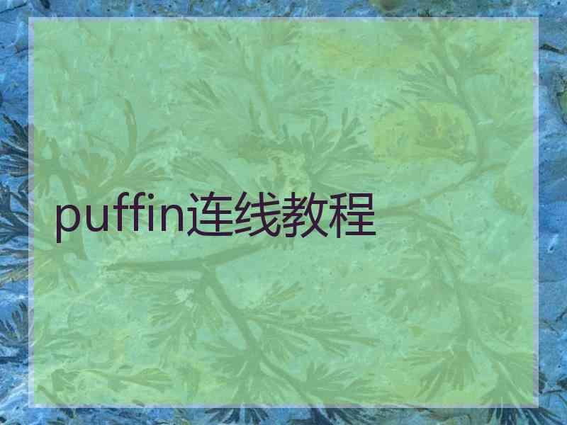 puffin连线教程