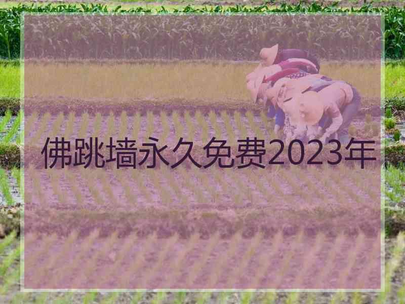 佛跳墙永久免费2023年