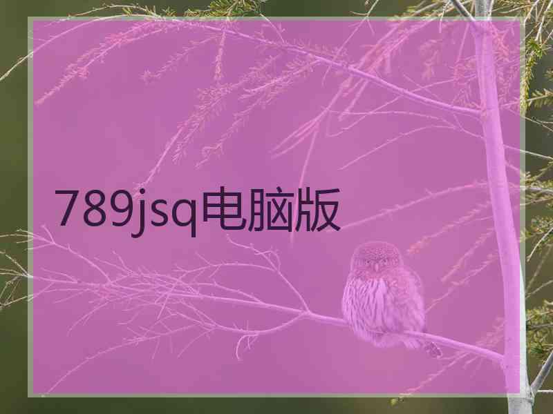 789jsq电脑版