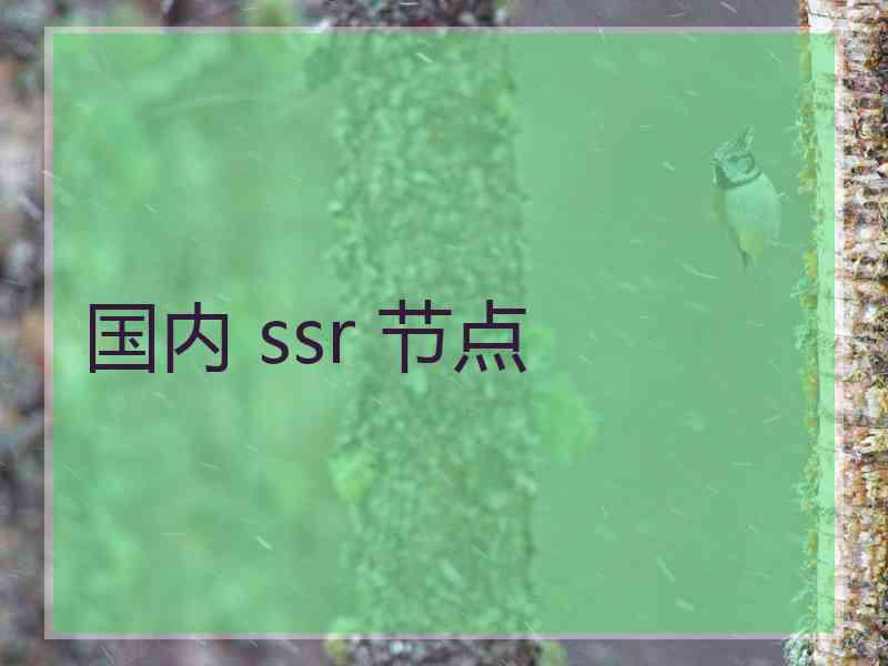 国内 ssr 节点