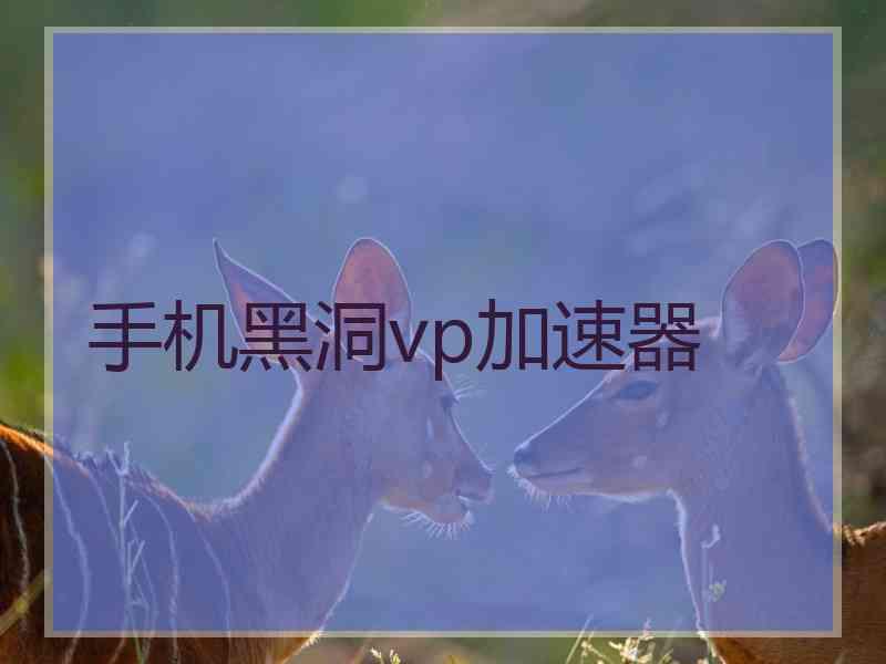 手机黑洞vp加速器