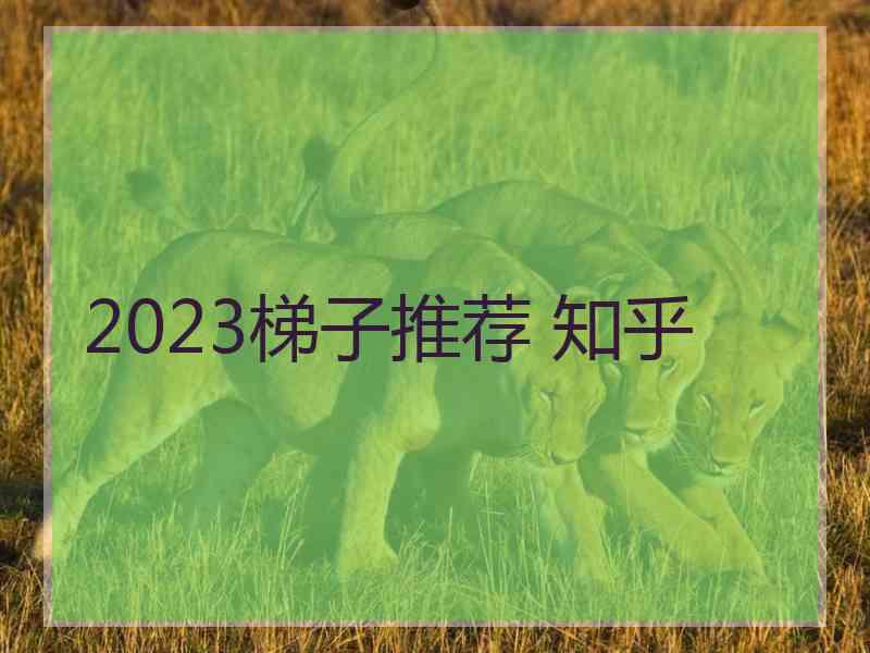 2023梯子推荐 知乎