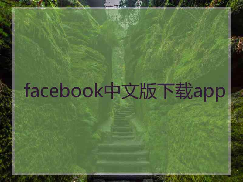 facebook中文版下载app