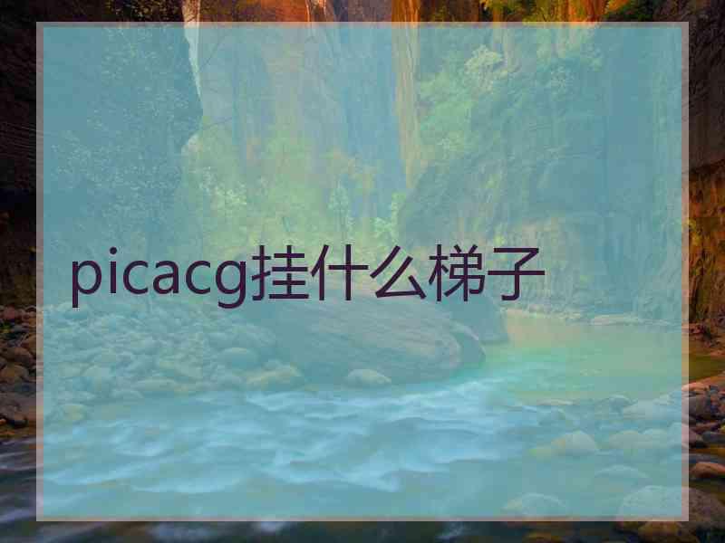 picacg挂什么梯子