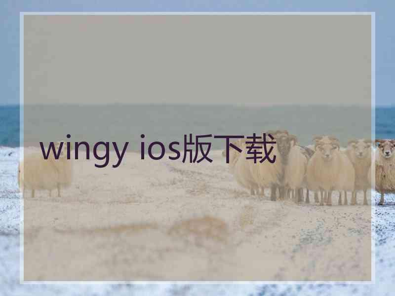 wingy ios版下载