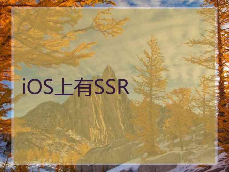 iOS上有SSR