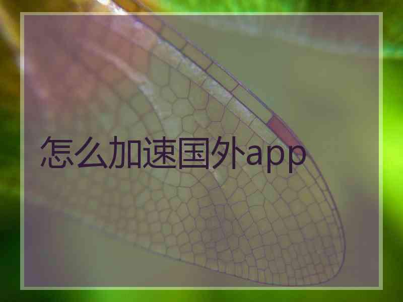 怎么加速国外app