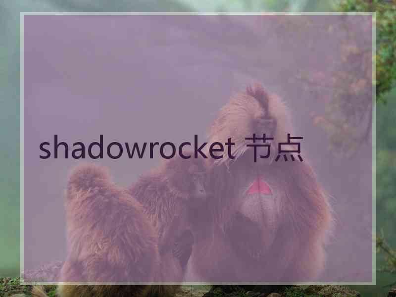 shadowrocket 节点