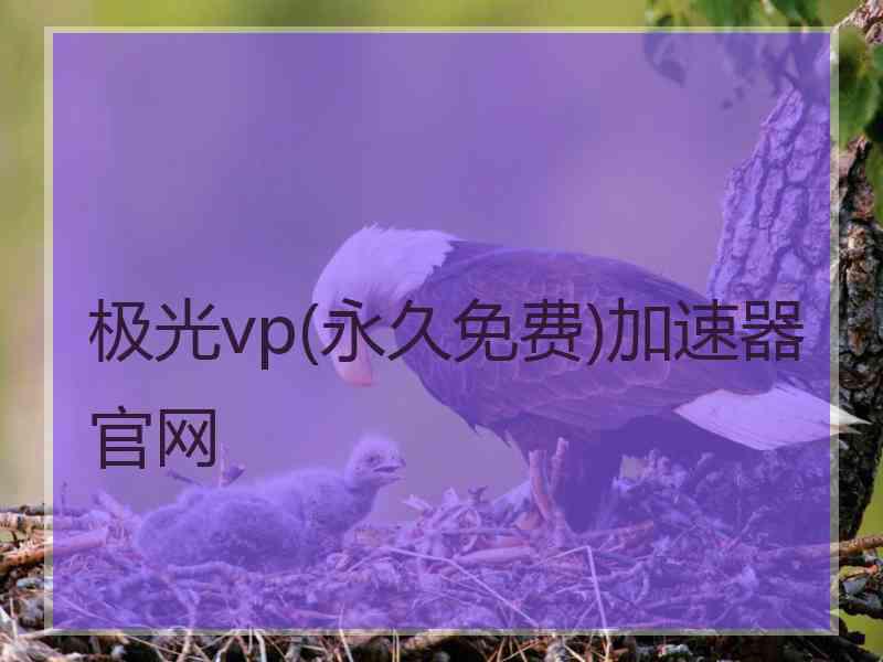 极光vp(永久免费)加速器官网