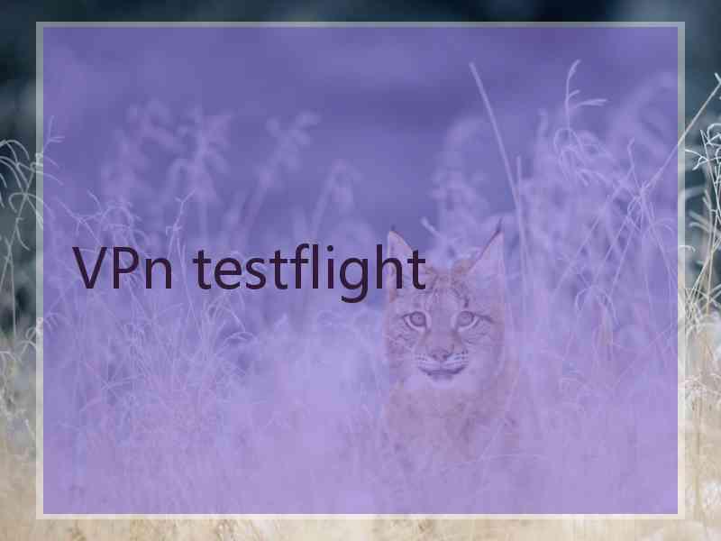 VPn testflight