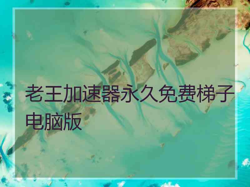 老王加速器永久免费梯子电脑版