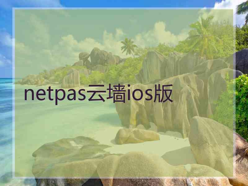 netpas云墙ios版